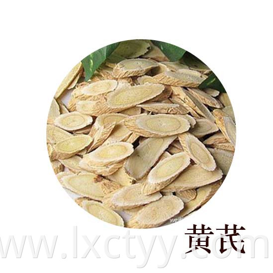 astragalus membranaceus tea root